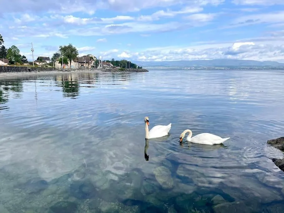 Appartement L'Escale Du Leman à Amphion-les-Bains France